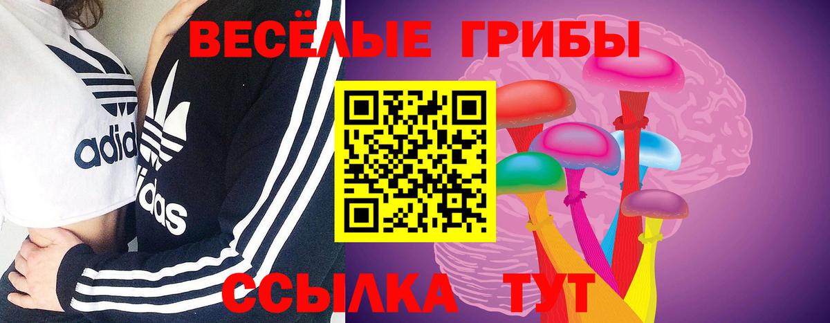 Псилоцибиновые грибы мицелий Новозыбков