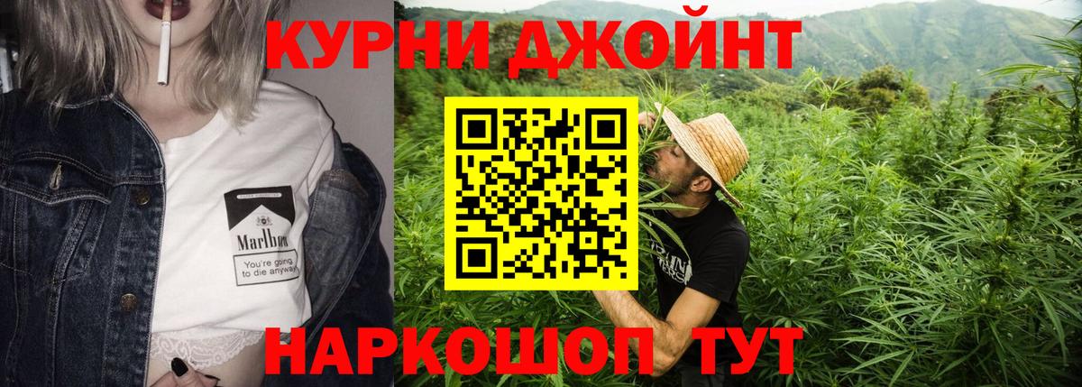 Конопля гибрид  Канабис индика  Каннабис план  Новозыбков  Вход с VPN 
